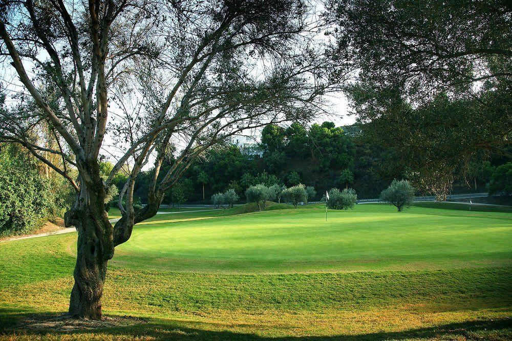 The Westin La Quinta Golf & Spa, Benahavis, Hotel